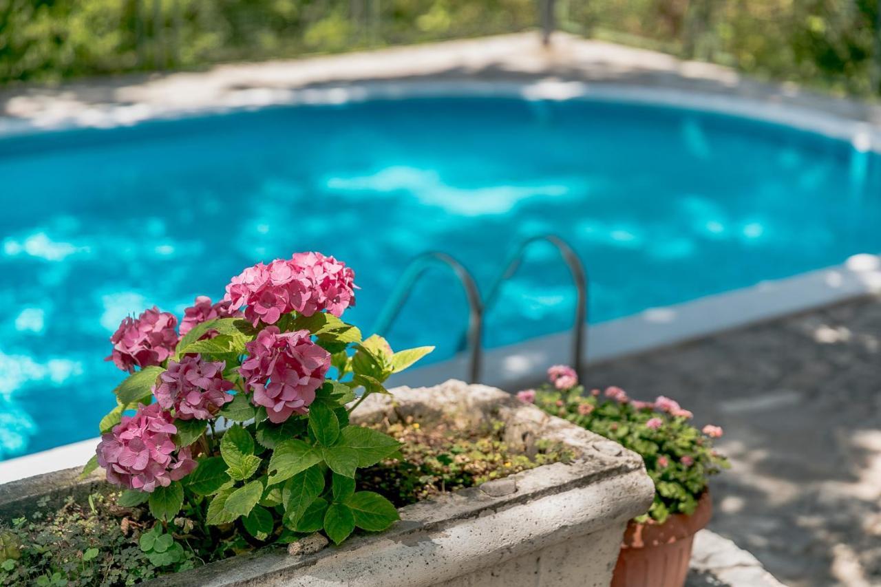 Poolside Apartments Miljan I Ranko 헤르섹 외부 사진