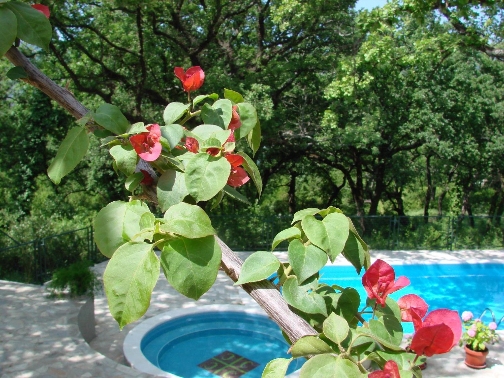 Poolside Apartments Miljan I Ranko 헤르섹 외부 사진