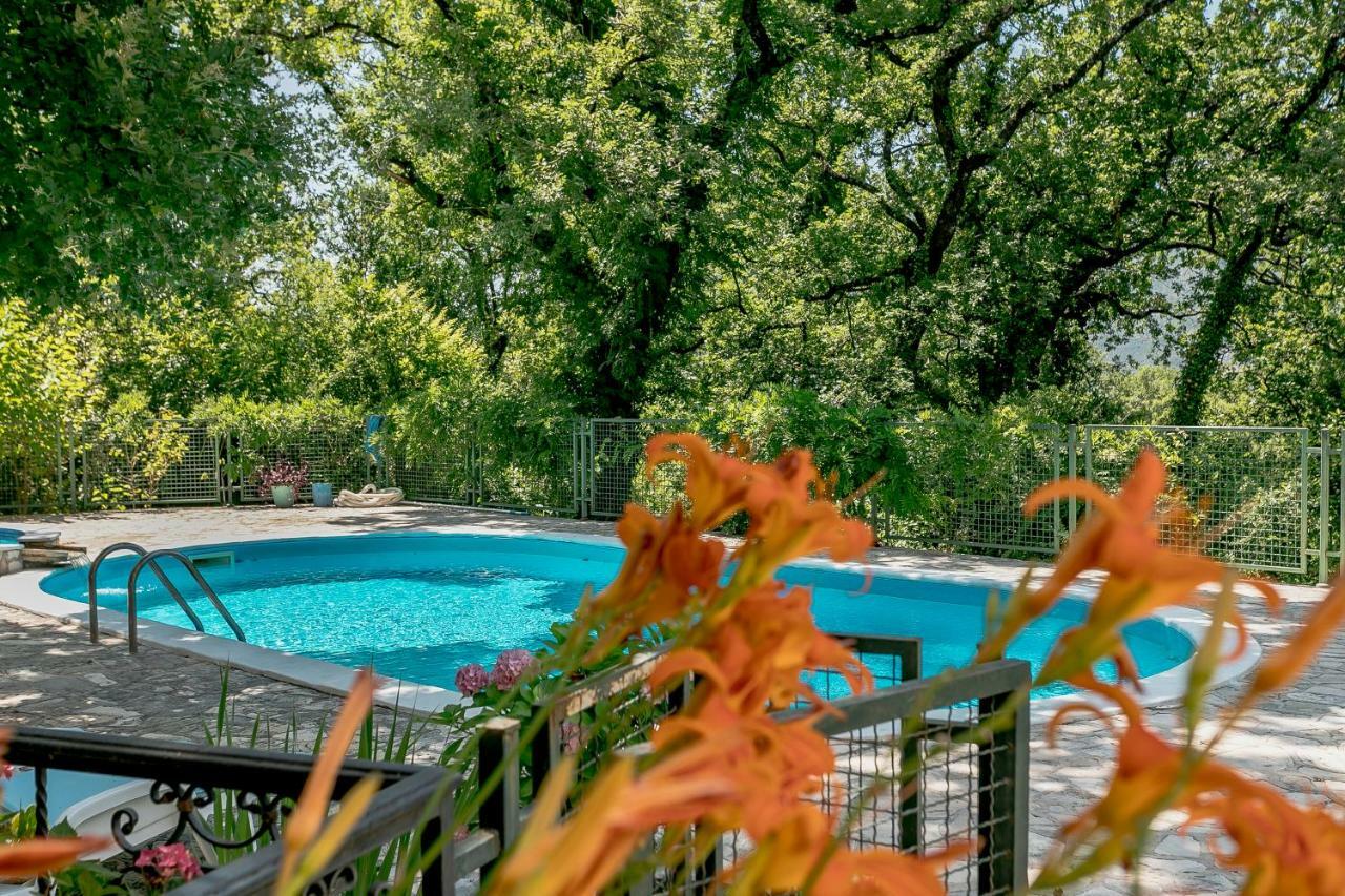 Poolside Apartments Miljan I Ranko 헤르섹 외부 사진